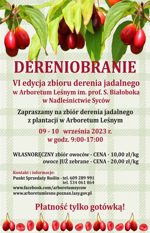 Plakat VI edycji dereniobrania
