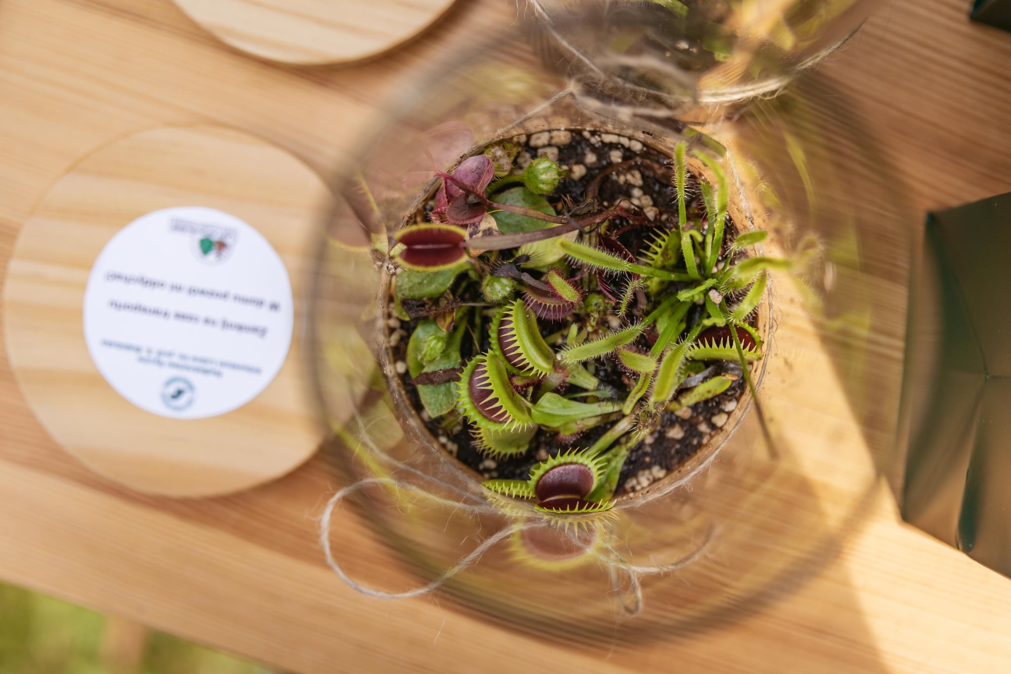 Fot. @daniel_musial_fotografia_ 