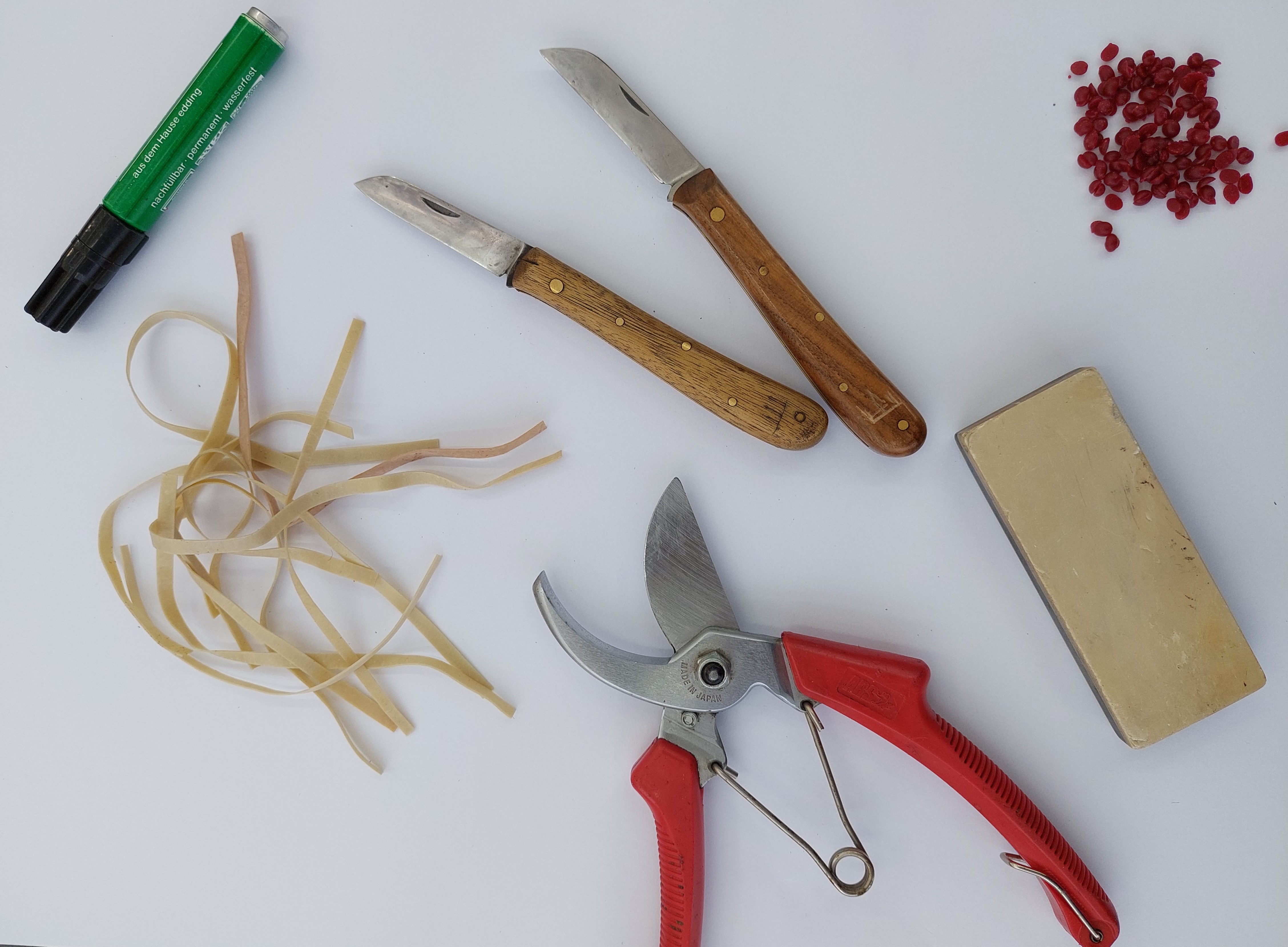 Zdjęcie przedstawia narzędzia użyte do szczepienia roślin: sekator, nóż, wosk, gumki, flamaster.