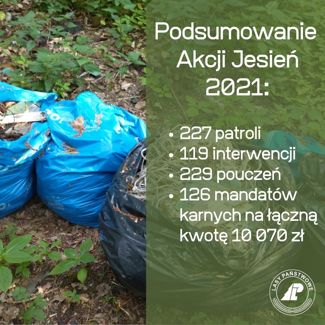 Fotografia przedstawia podsumowanie Akcji Jesień 2021 na tle porzuconych w lesie śmieci. Fot. Archiwum RDLP w Poznaniu.