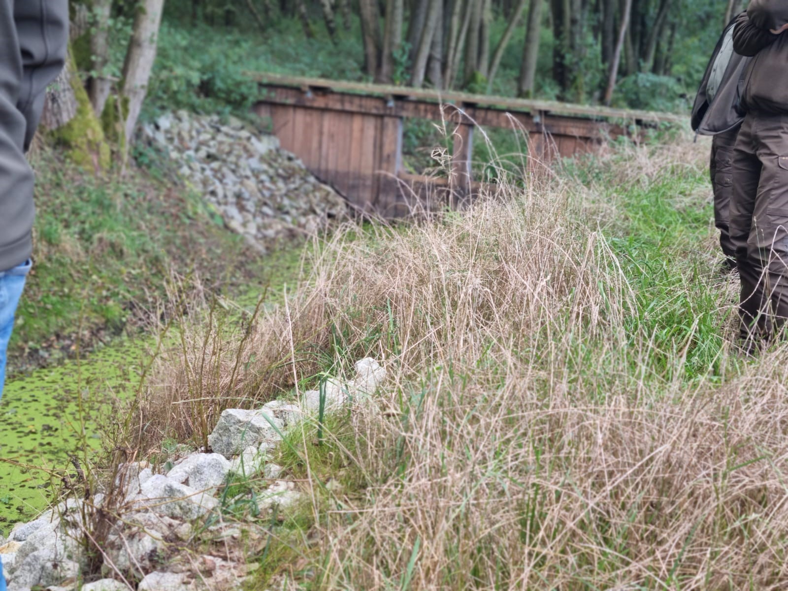 Zdjęcie przedstawia ludzkie sylwetki na tle rowu wypełnionego wodą, zatrzymaną przez drewnianą zastawkę. Fot. Archiwum RDLP w Poznaniu