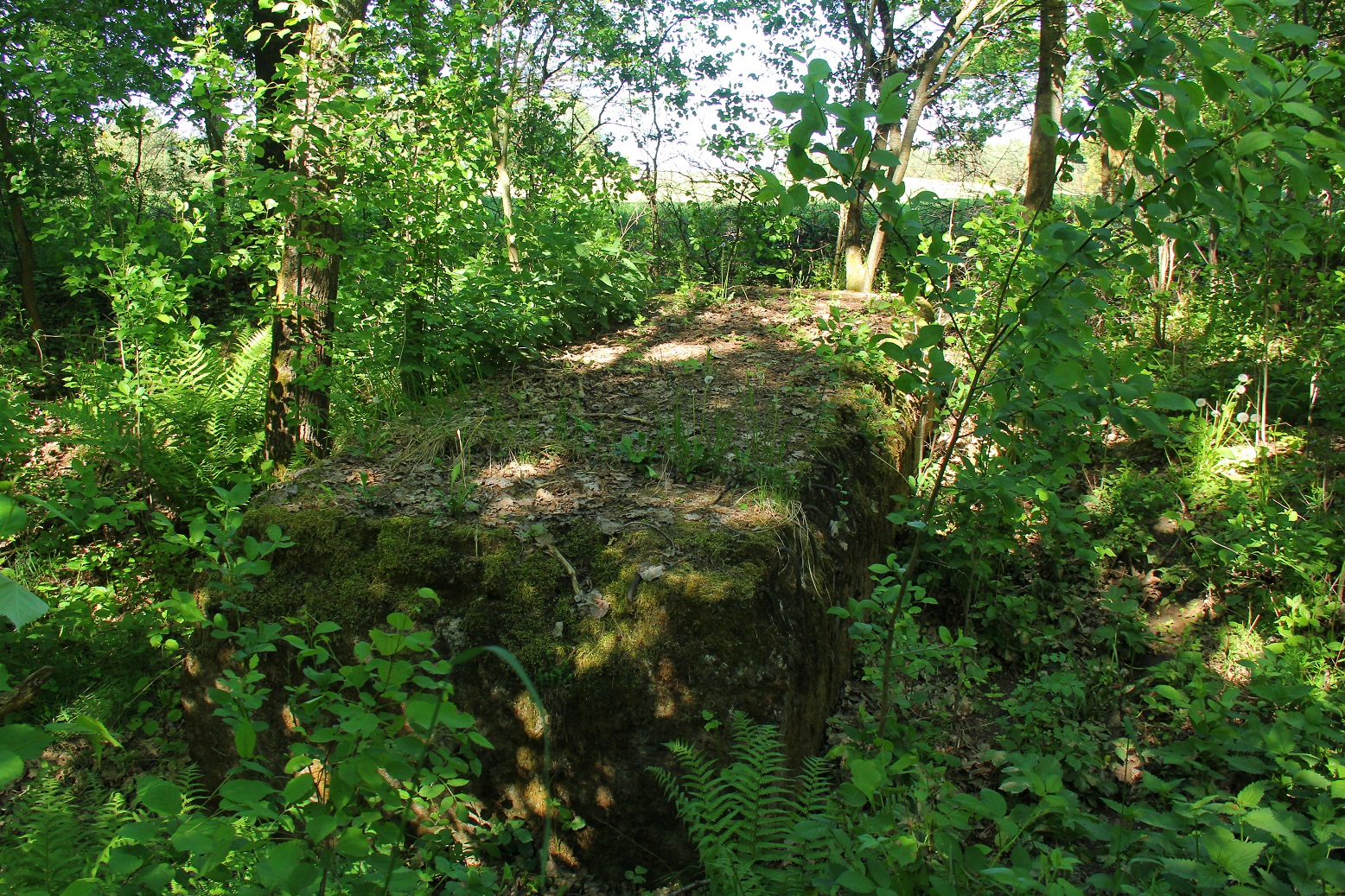 Fragment zapory żelbetonowej - leśnictwo Wioska