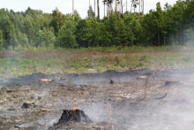 Pożary zagrażają lasom