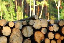 Nowe ceny drewna