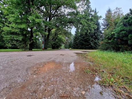 W niedzielę 15 września Arboretum Leśne będzie nieczynne.