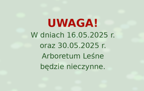 Informacja